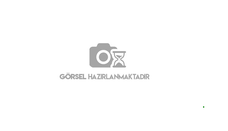 Üzüm hasadını bitiren üreticiler zeytin hasadına başladı