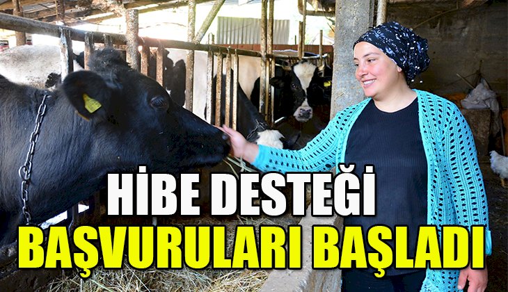 Engelli ve eski hükümlü hibe desteği başvuruları başladı