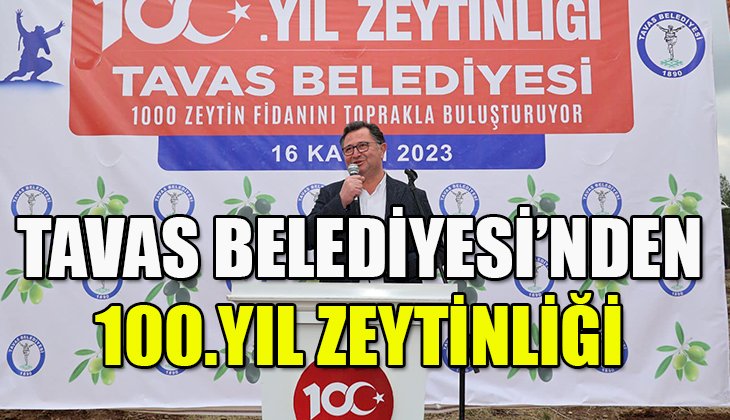 Tavas Belediyesi'nden 100.yıl zeytinliği