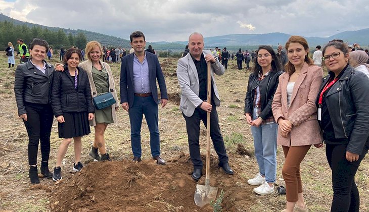 Tavas’taki zeytinliğe Devlet Hastanesi de katlı sundu