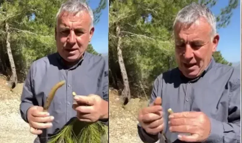 Acıpayam'da kazlarını satıp başkan adayı olmuştu! Mütevazi yaşamında sipsi yapıyor