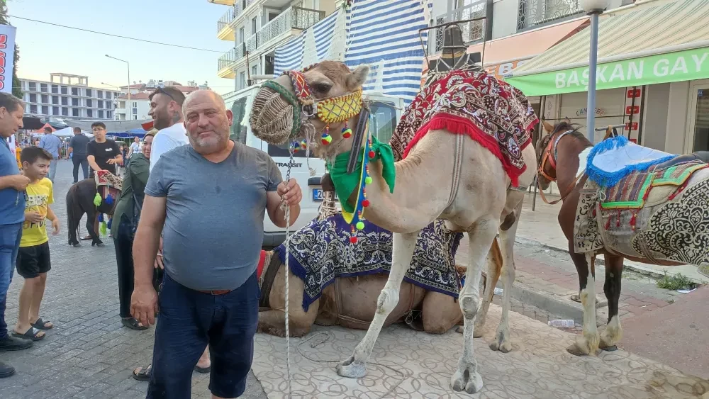 Yörük kültürünü yaşatmak için 36 yıldır develeriyle festivallere gidiyor
