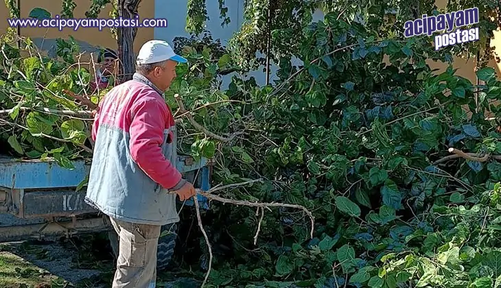 Buldan’da sonbahar
                    temizliği 