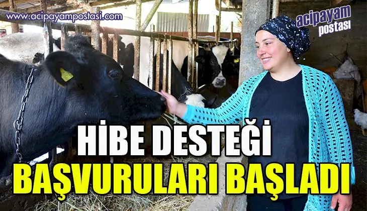 Engelli ve eski hükümlü hibe desteği
                    başvuruları başladı