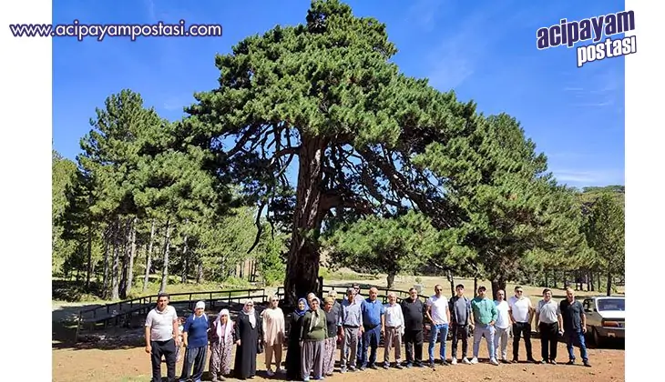 Festival konukları Beyağaç’ın muhteşem
                    yaylalarını gezdi