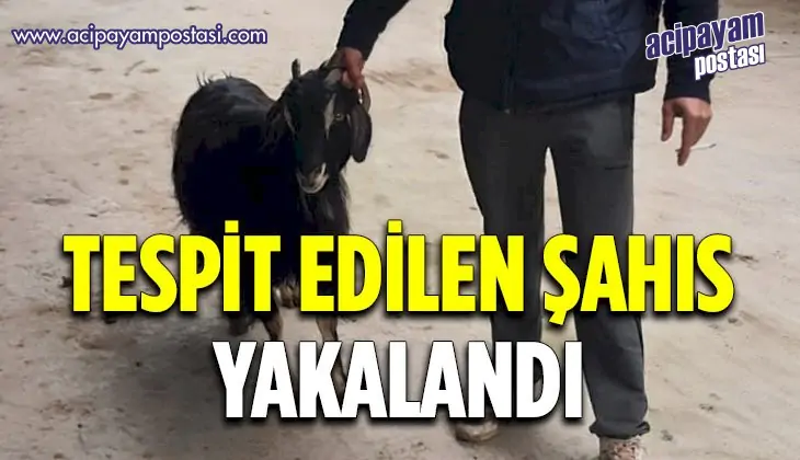 Isparta’da ağıldan 3 keçi çalıp sattığı
                    tespit edilen şahıs yakalandı