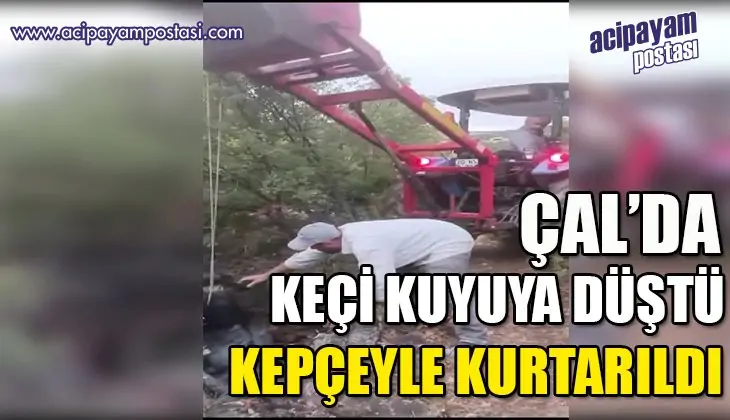 Kuyuya düşen
                    keçi kepçeyle
                    kurtarıldı