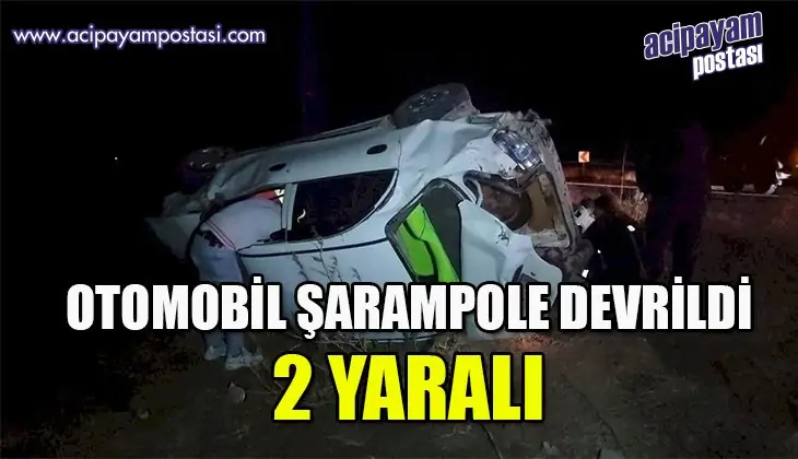 Şarampole devrilen otomobilde 2 kişi
                    yaralandı